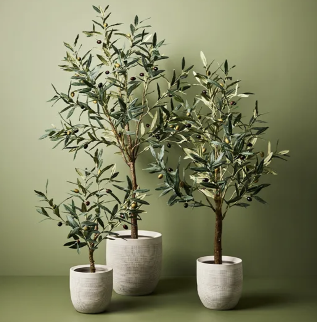Faux Olive Tree