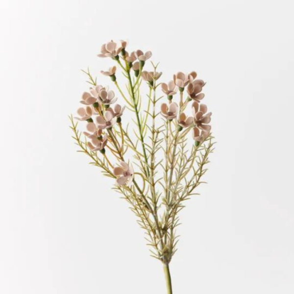 Real Like Wax Flower - Image 2